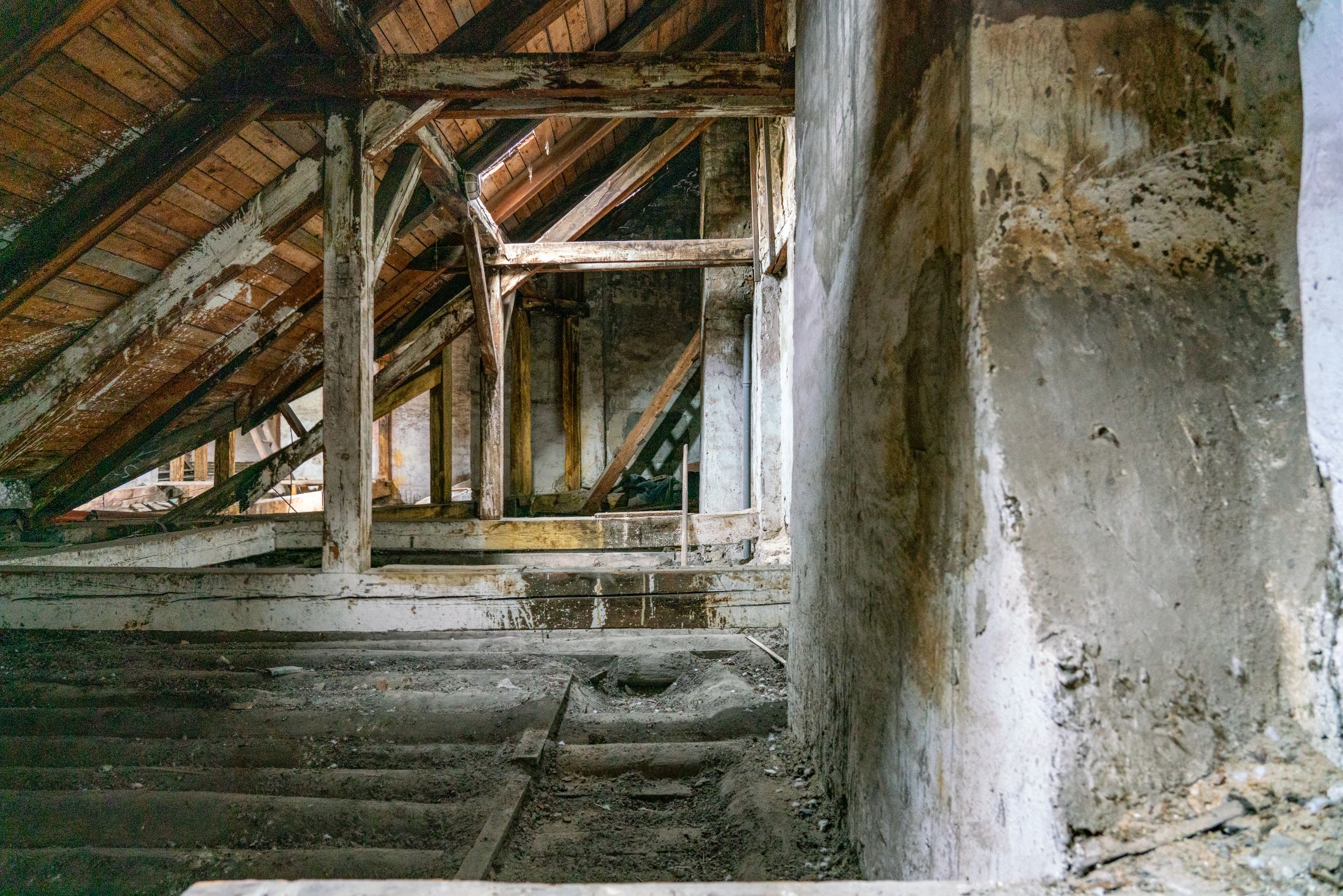 Inside Múzeum körút 19 in Budapest: A partially abandoned building designed by Miklós Ybl for Zsigmond Róth