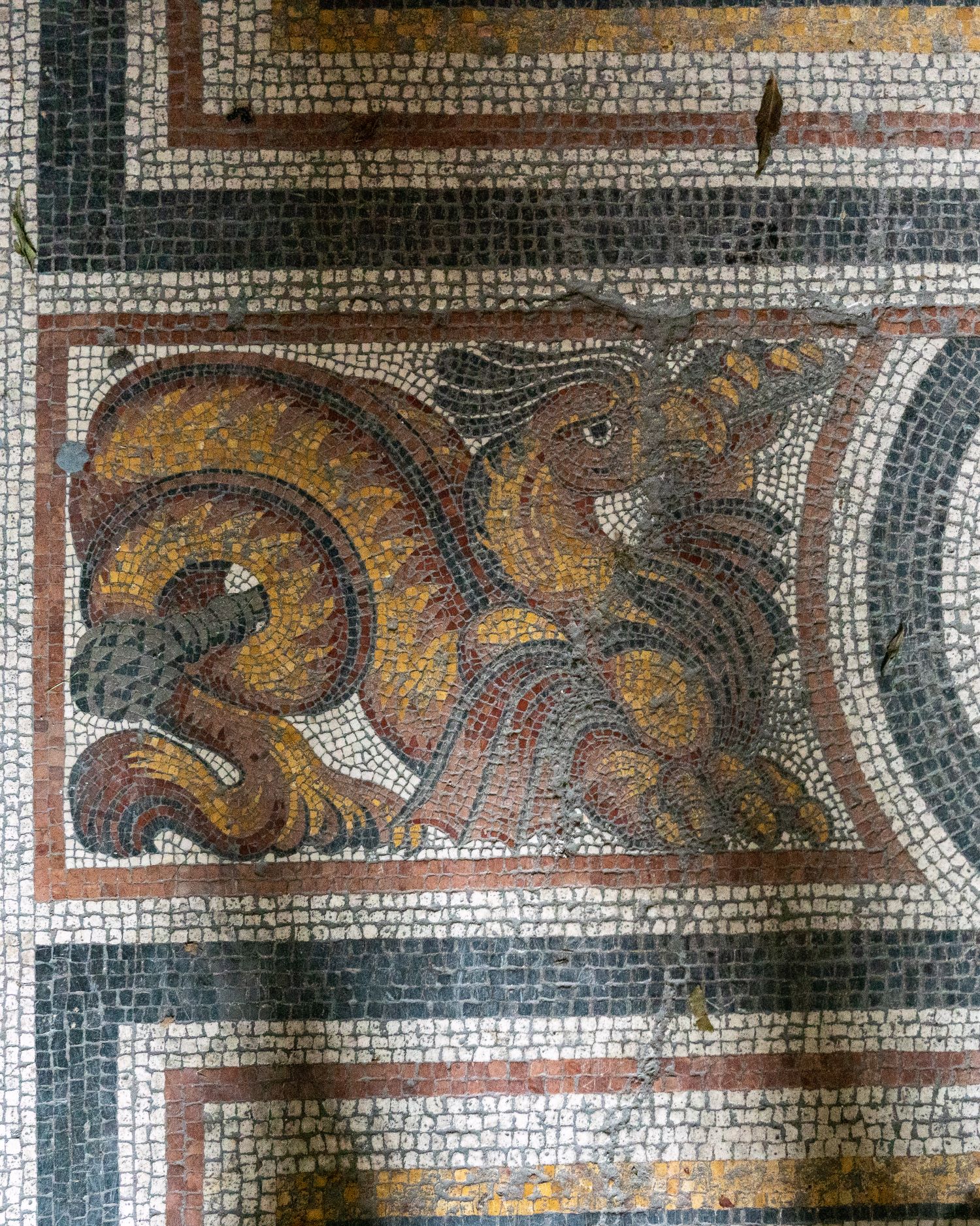 Mosaic floor in Múzeum körút 19 in Budapest: A partially abandoned building designed by Miklós Ybl for Zsigmond Róth