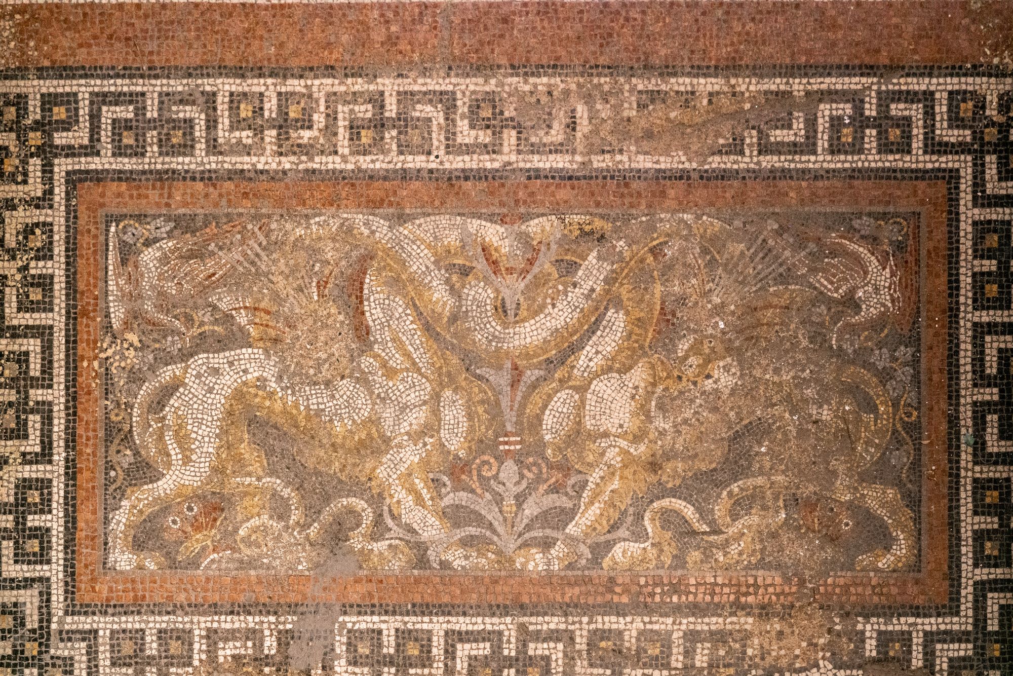 Mosaic floor in Múzeum körút 19 in Budapest: A partially abandoned building designed by Miklós Ybl for Zsigmond Róth