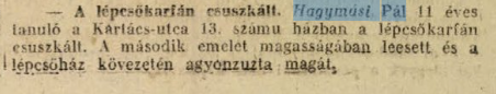 Newspaper article - Budapest Kartács utca 13
