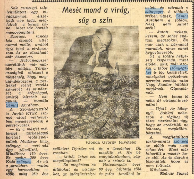 Camhi - A Sephardic Jewish Family Living in Budapest